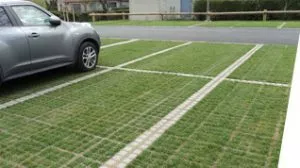 Reinforced Grass