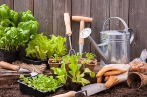 Get a Head Start on Garden Season… In Your Garage