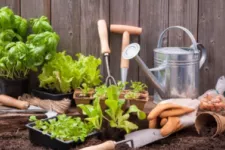 Get a Head Start on Garden Season In Your Garage!